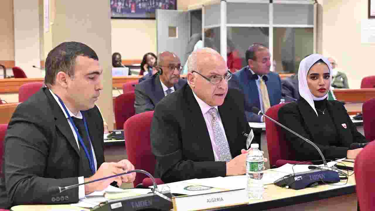 Mr. Attaf attends the ninth ministerial meeting of the Afro-Arab Partnership Coordination Committee