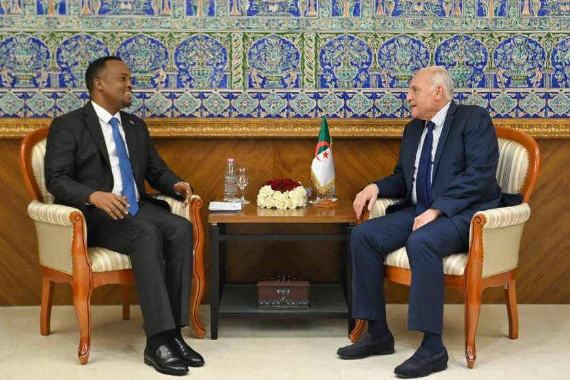 M. Attaf reçoit le nouvel ambassadeur de Somalie en Algérie