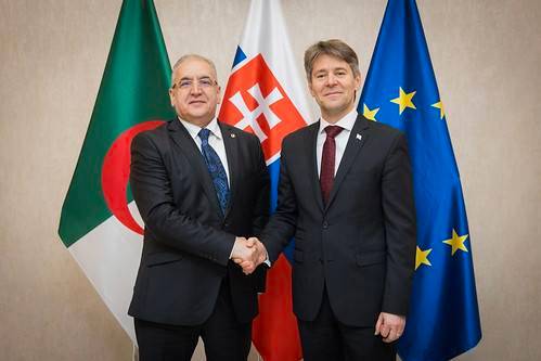 M. Magramane co-préside la deuxième session des consultations politiques algéro-slovaques avec le Secrétaire d'Etat slovaque.