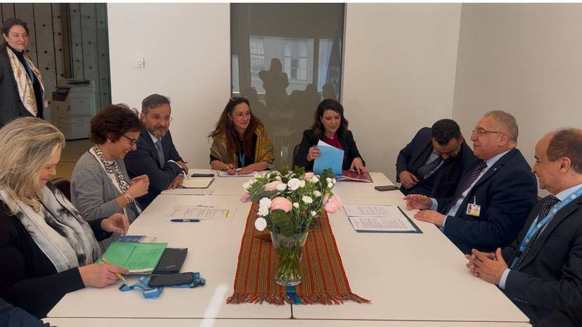 Le Secrétaire général rencontre la Haute-Commissaire adjointe des Nations unies aux droits de l'homme