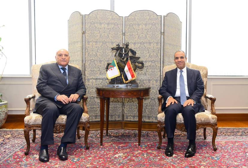 M. Attaf s'entretient avec son homologue Egyptien