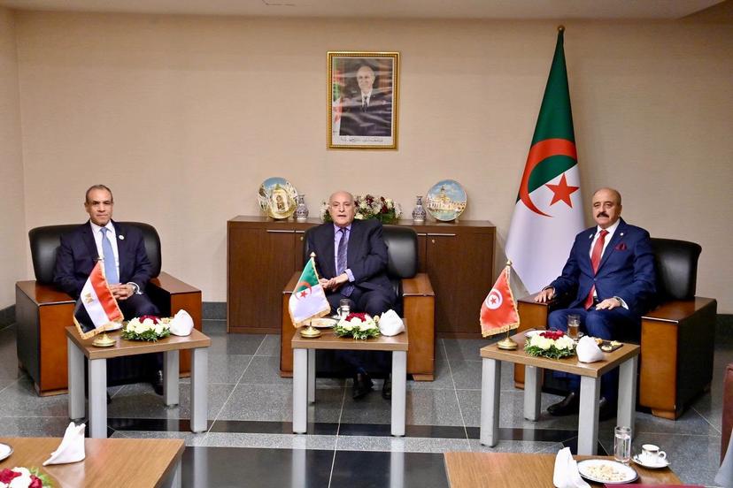 Final Communiqué of the Meeting of the Foreign Ministers of Algeria, Tunisia and Egypt on Libya (Tripartite Mechanism of Neighbouring Countries)